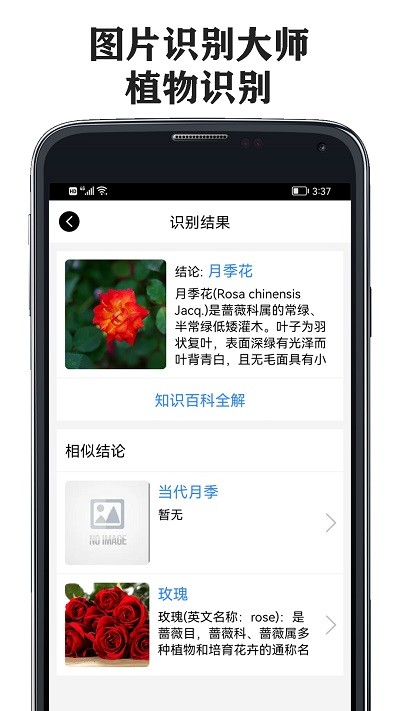 图片识别大师APP