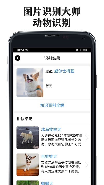 图片识别大师APP