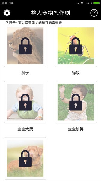 整人宠物恶作剧APP