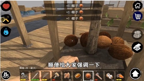 孤舟求生游戏