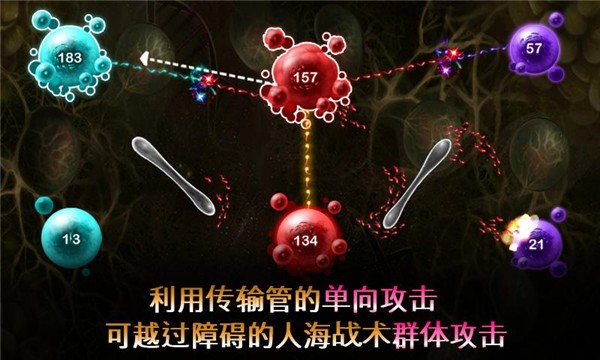 繁殖战争2免费游戏