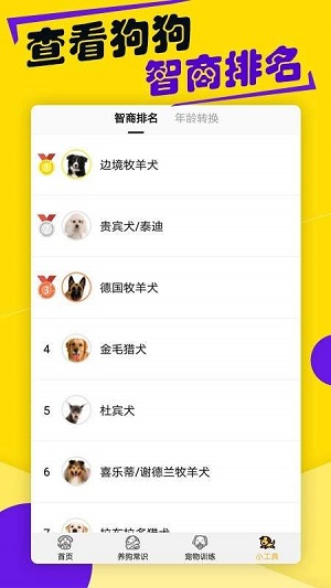 狗语翻译器软件APP