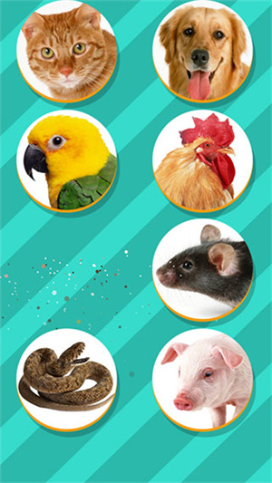 pettranslatorapp官方版APP