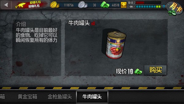 僵尸前线4国际服游戏