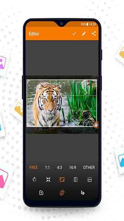 相册管理大师app免费官方版APP