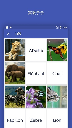 quizlet官方版appAPP