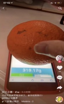 touchscale官方版本APP