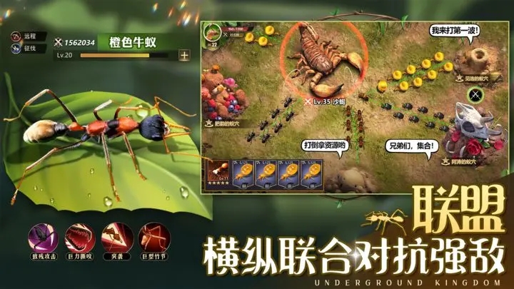 小小蚁国app官方版游戏