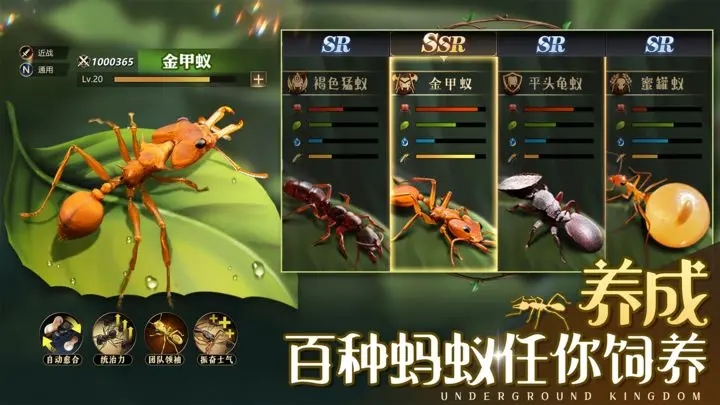 小小蚁国app官方版游戏