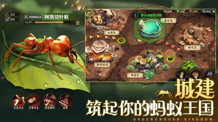 小小蚁国app官方版游戏