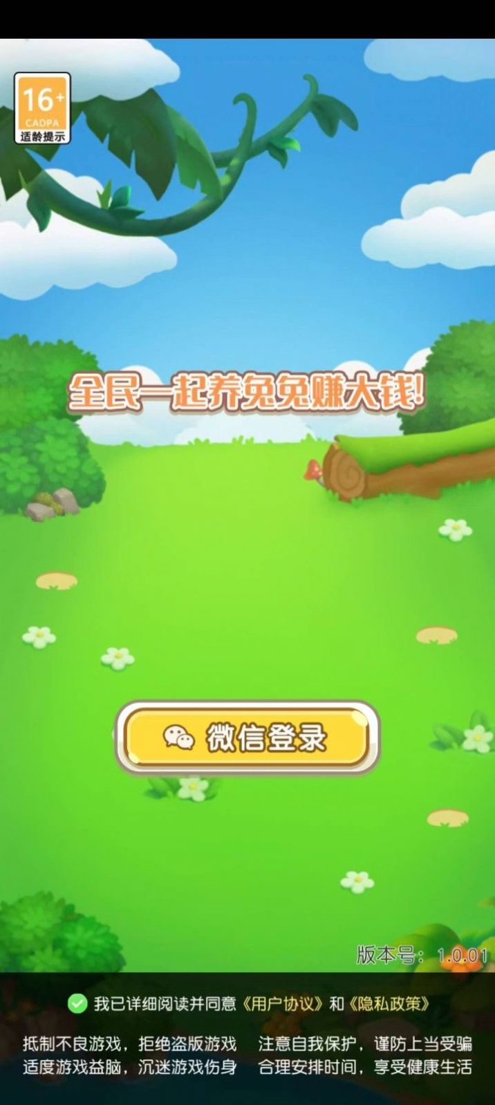 可爱的兔子游戏