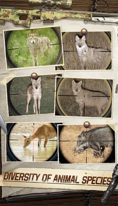 狩猎狙击手2023游戏