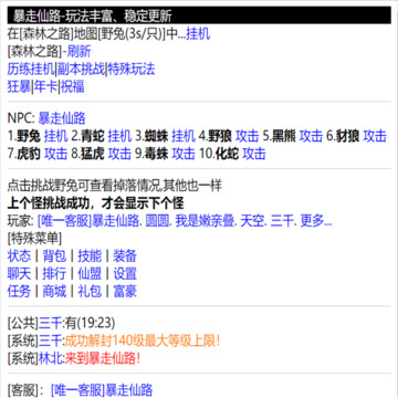 暴走仙路游戏
