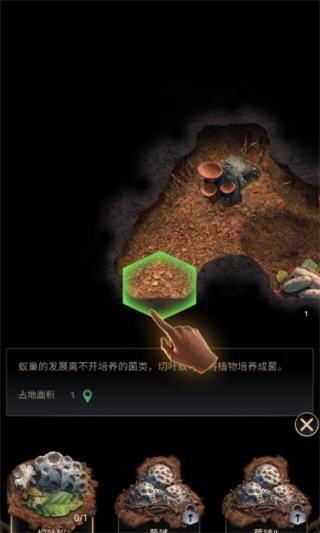 蚂蚁地下王国中文版游戏