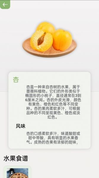 指尖果园app免费版APP