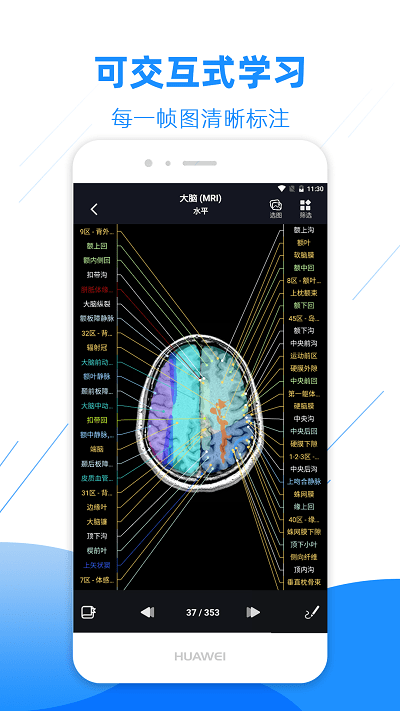 影像解剖图谱appAPP