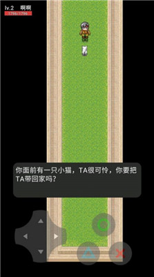 猫猫惊魂游戏