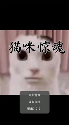 猫猫惊魂游戏