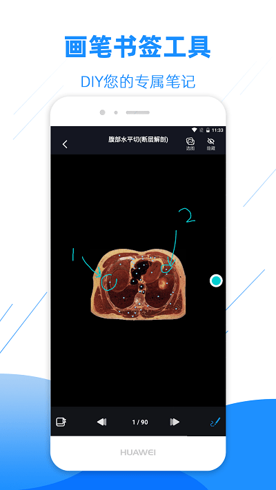 影像解剖图谱appAPP