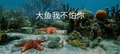 大鱼我不怕你游戏