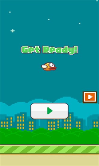 孤独的小鸟游戏