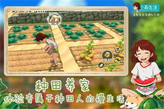 小森生活手游游戏