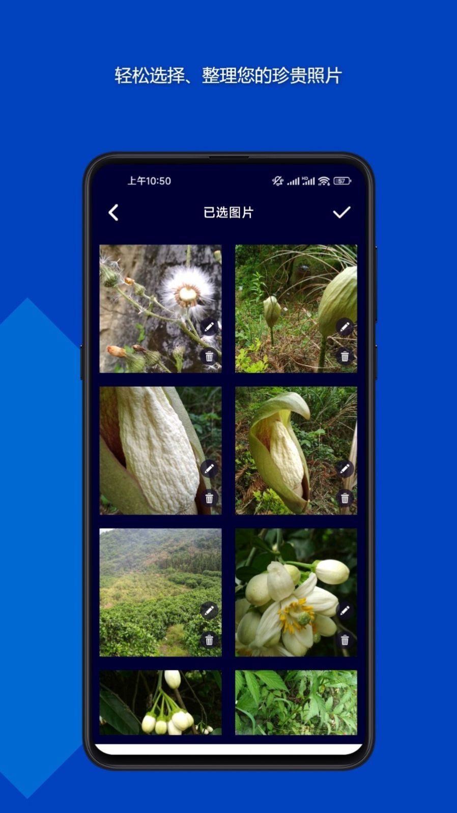 魔法音乐相册官方版本APP
