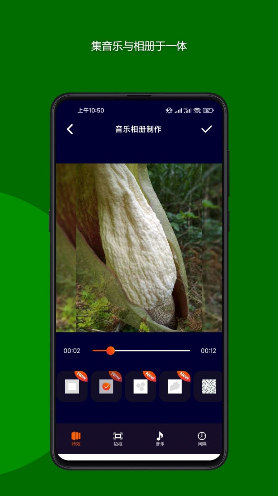魔法音乐相册官方版本APP