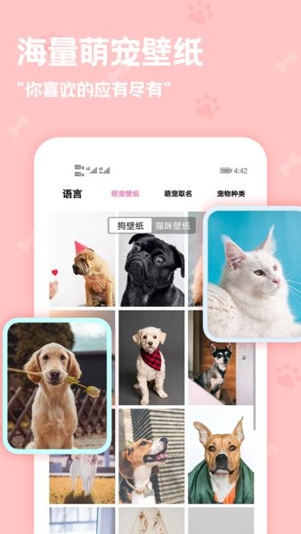 pet动物语言翻译器APP