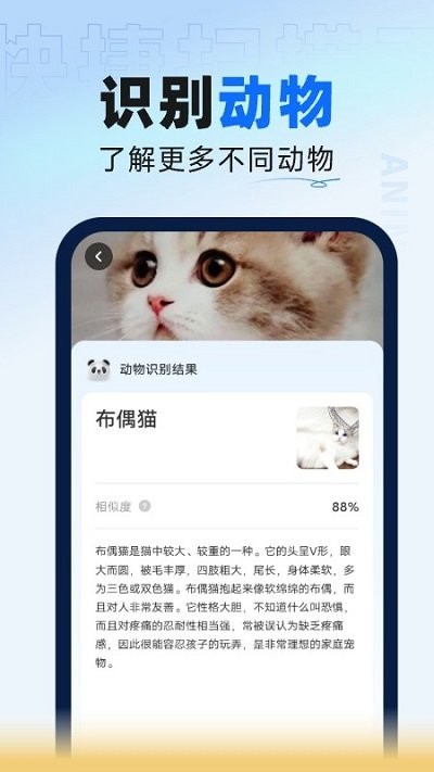 叮咚扫描大师APP