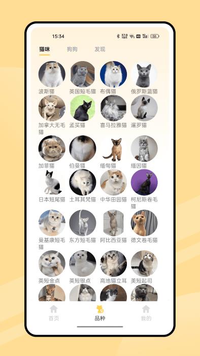 弛意有宠APP