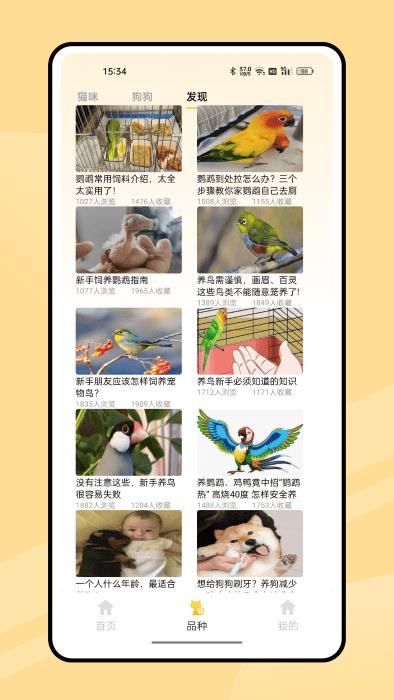 弛意有宠APP