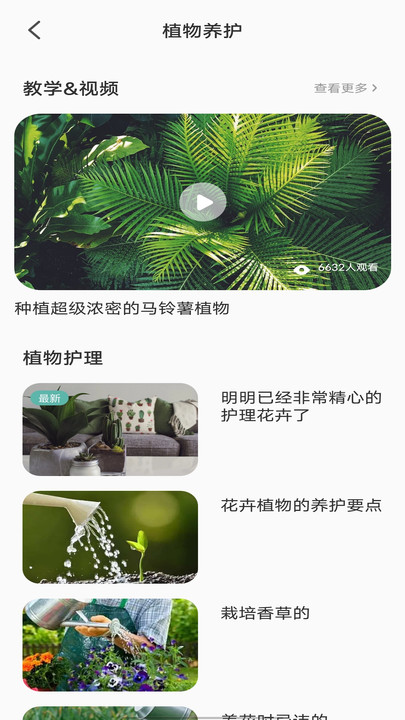 拍照识别植物弛意版APP