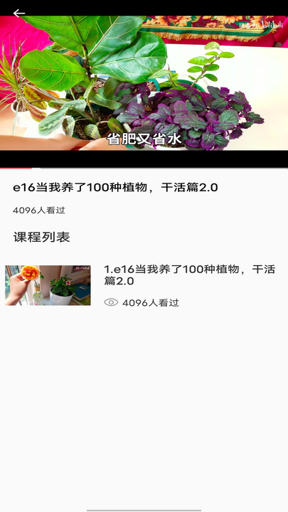拍照识别植物弛意版APP