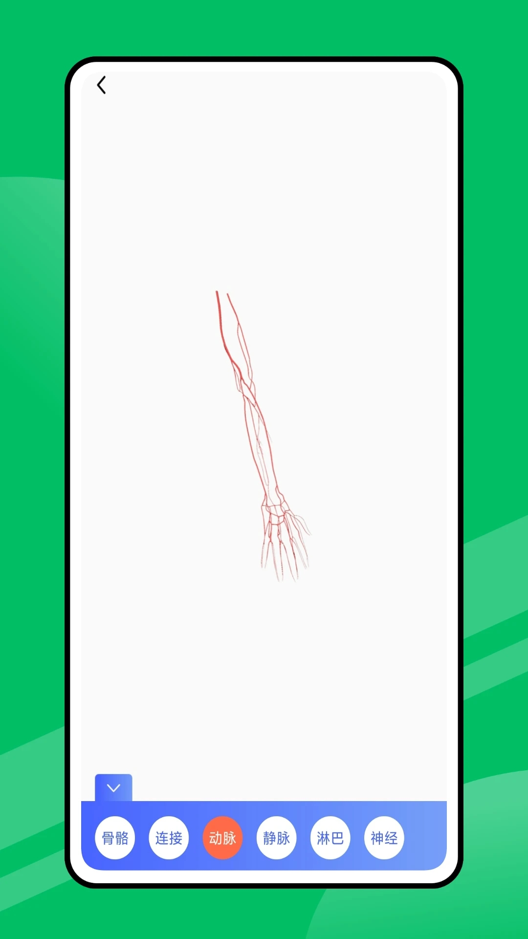 人体工厂APP