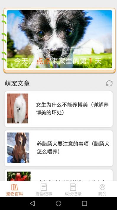 宠物点点APP