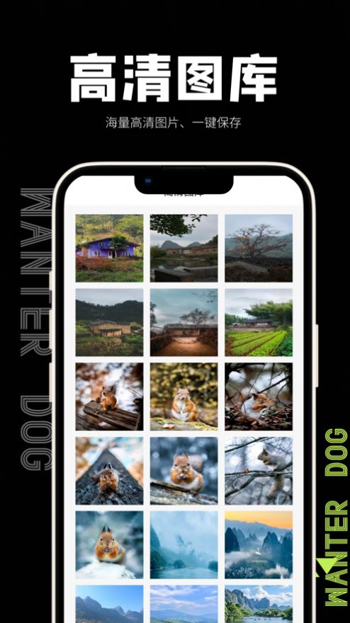 熊猫水印APP