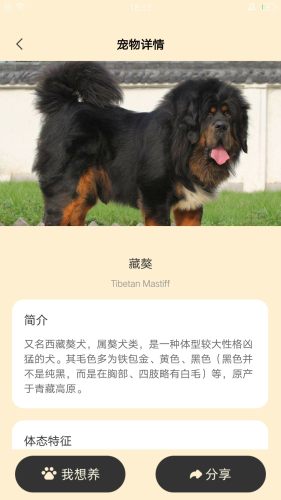 萌呼呼官方版appAPP