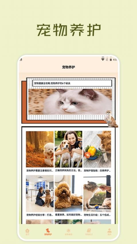 宠物小组件盒子软件APP