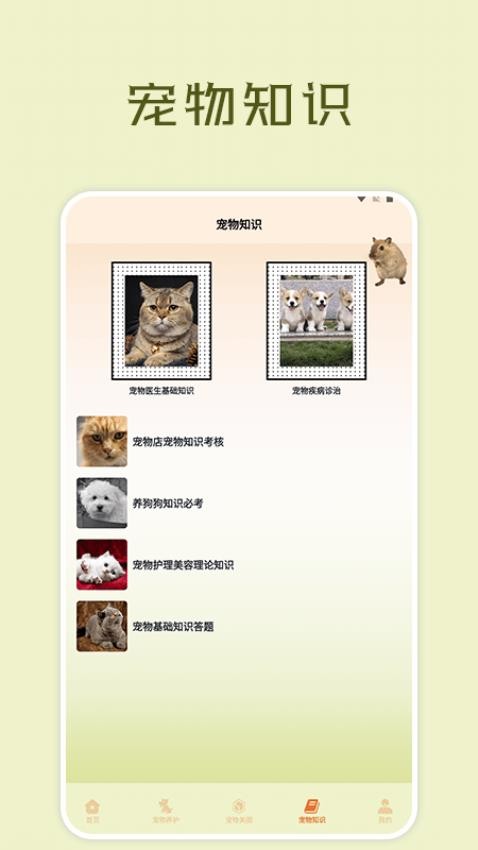 宠物小组件盒子软件APP