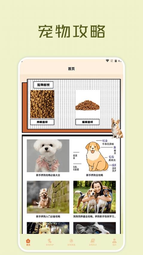 宠物小组件盒子软件APP