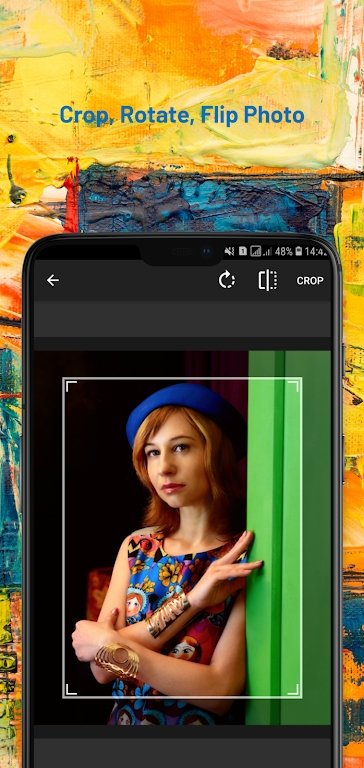 PiArtAPP