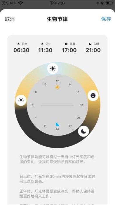 rayzig照明APP
