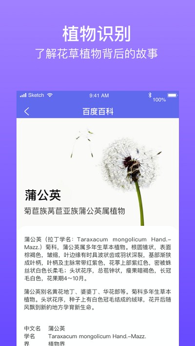拍拍识图取字免费APP
