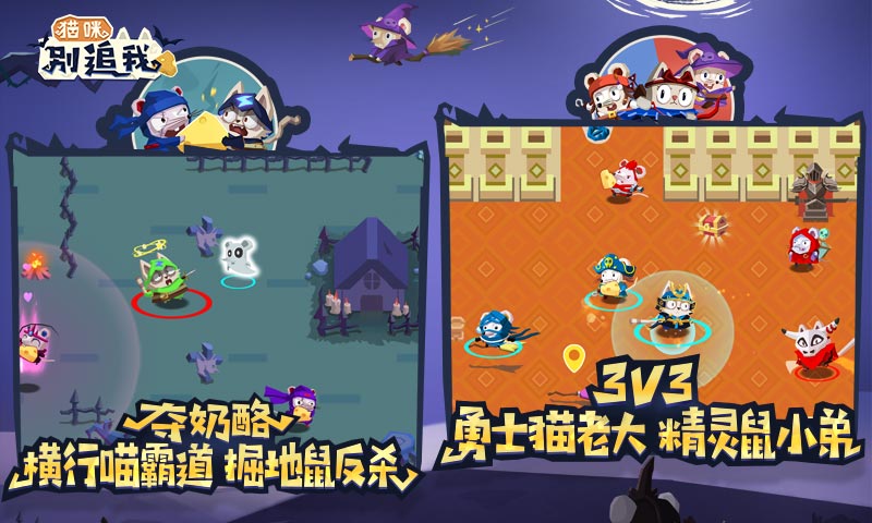 猫咪别追我游戏手机版app游戏
