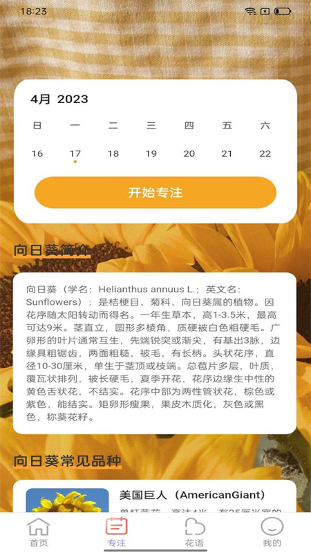 百花步数软件APP