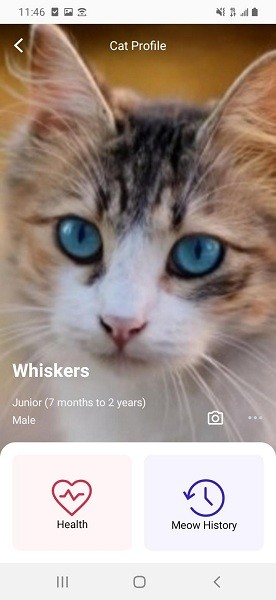 meowtalk喵说appAPP