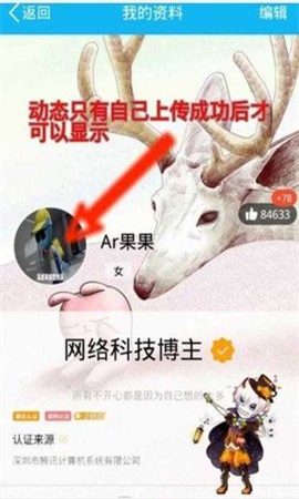 Q动态头像手机版appAPP