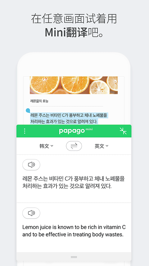 papago中韩翻译APP