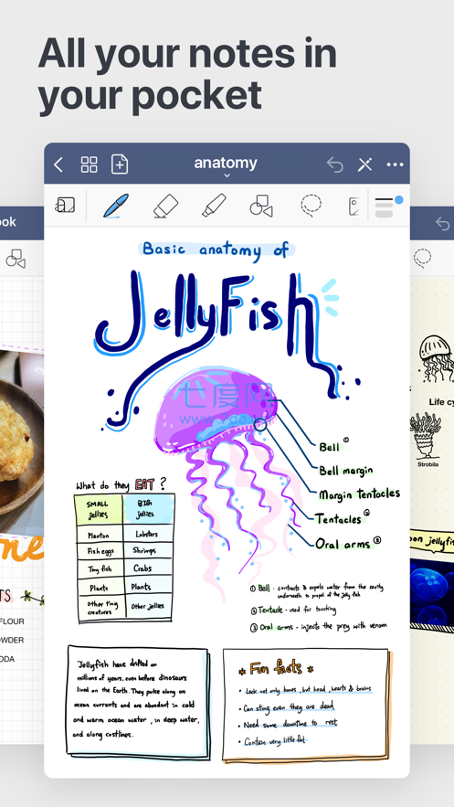 goodnotes手机版免费APP